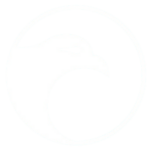 Yseulis, solution pour piloter vos trésorerie devises, budgets, instruments, et transactions internationales