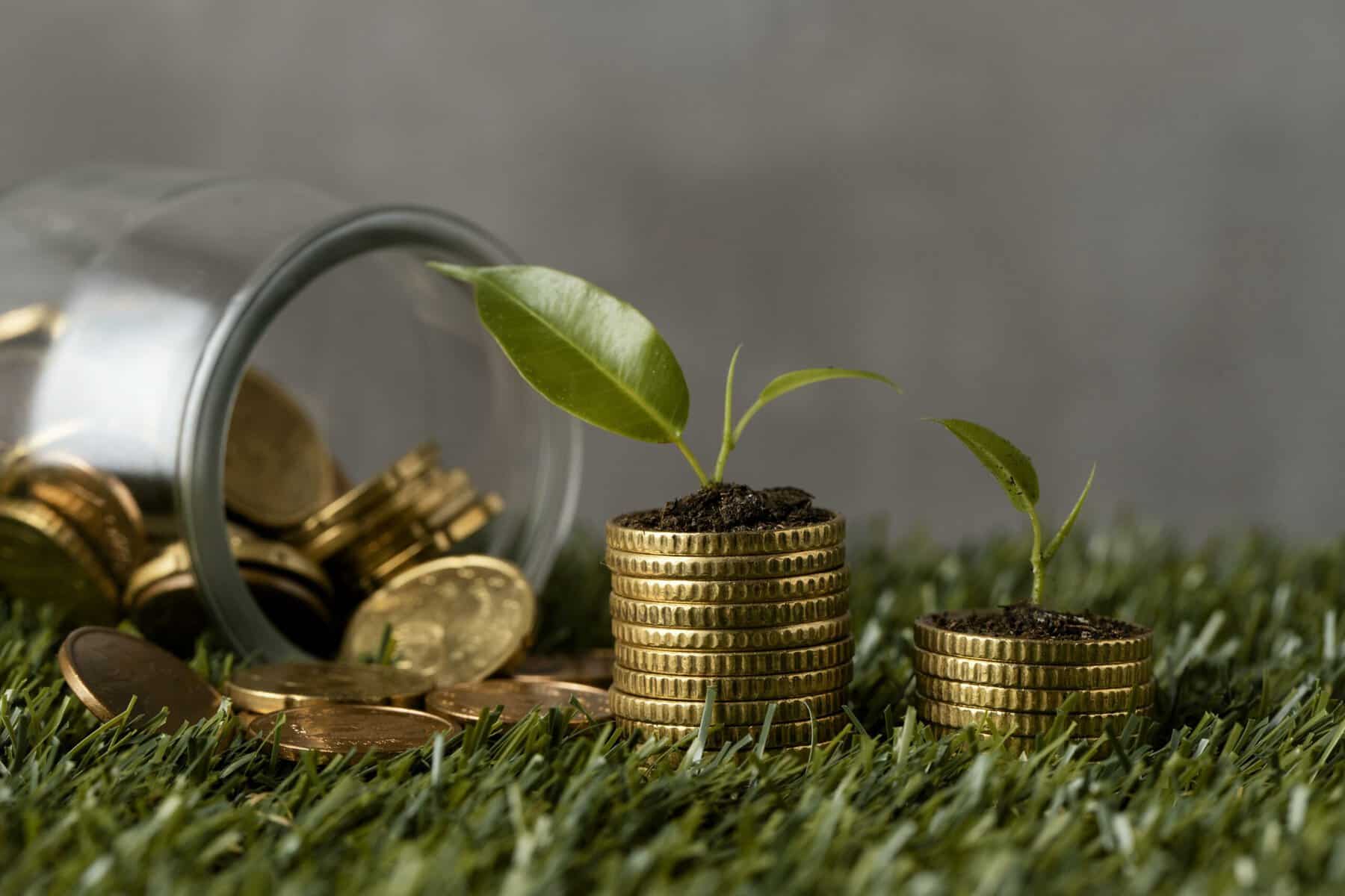 Pièces d'euros surmontées de jeunes pousses vertes, symbole d'une finance responsable et durable